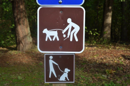 Dog rules